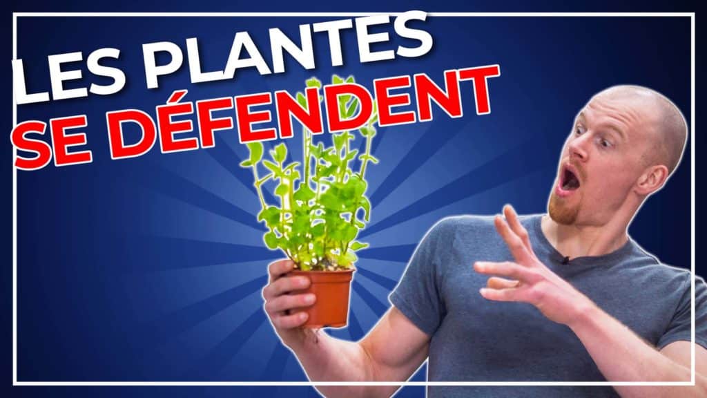 Nutrition – Les plantes contre attaque